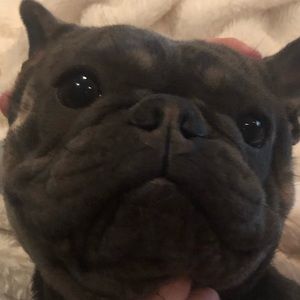 Meet your Posher, Lucas